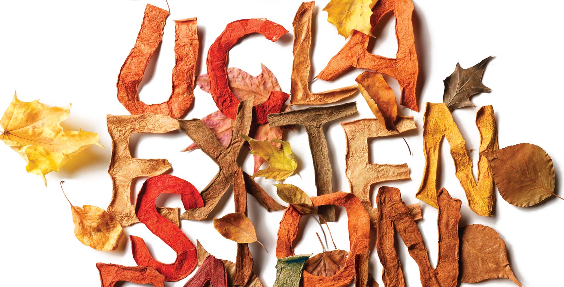 ucla-extension_leaves.jpg Art Direction by: Bart Crosby, Crosby Associates